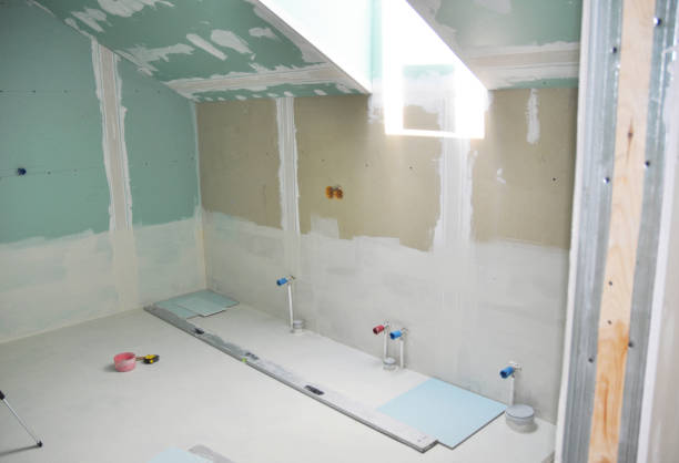  Gridley, IL Mold Removal Pros