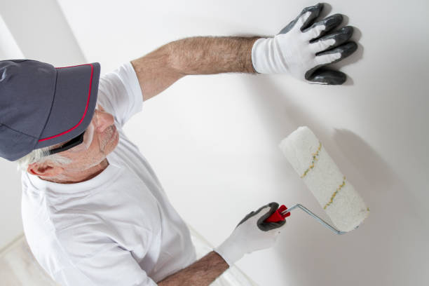 Best Emergency Mold Remediation  in Gridley, IL